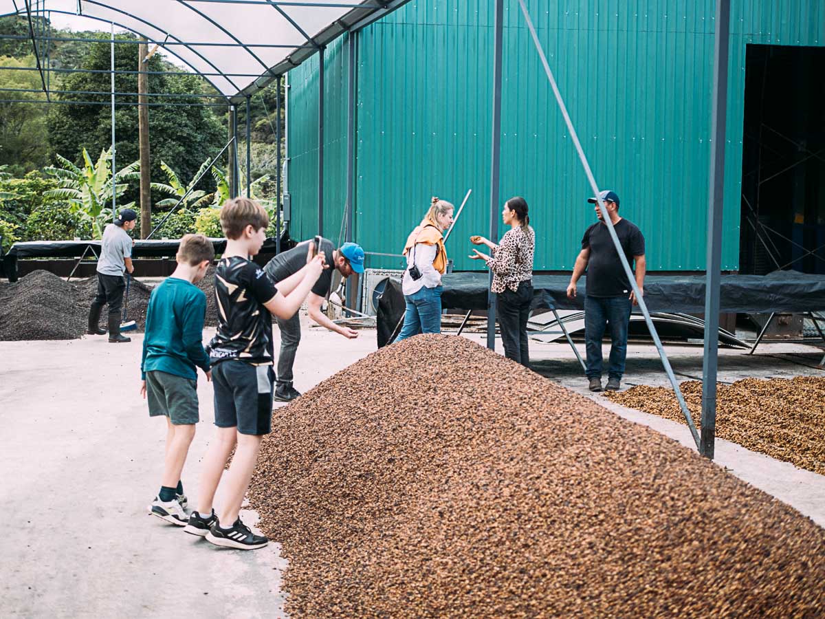 La Aurora coffee mill in Costa Rica