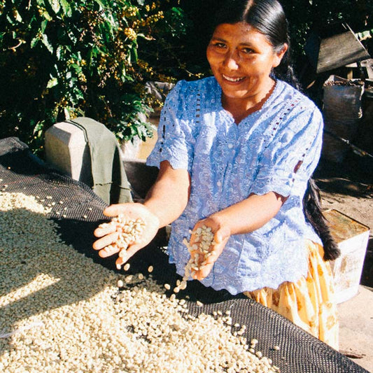 Bolivian coffee from Cafe Femenino