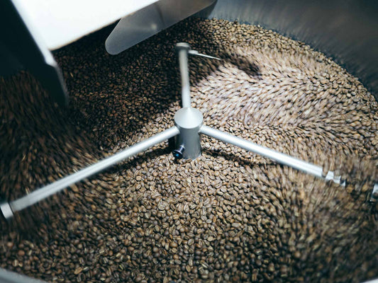 fresh roasted coffee beans in cooling tray