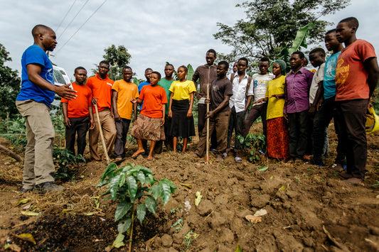 Coffee of the Month - Uganda Washed