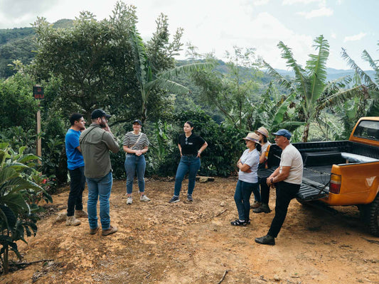 Free La Karola Geisha!