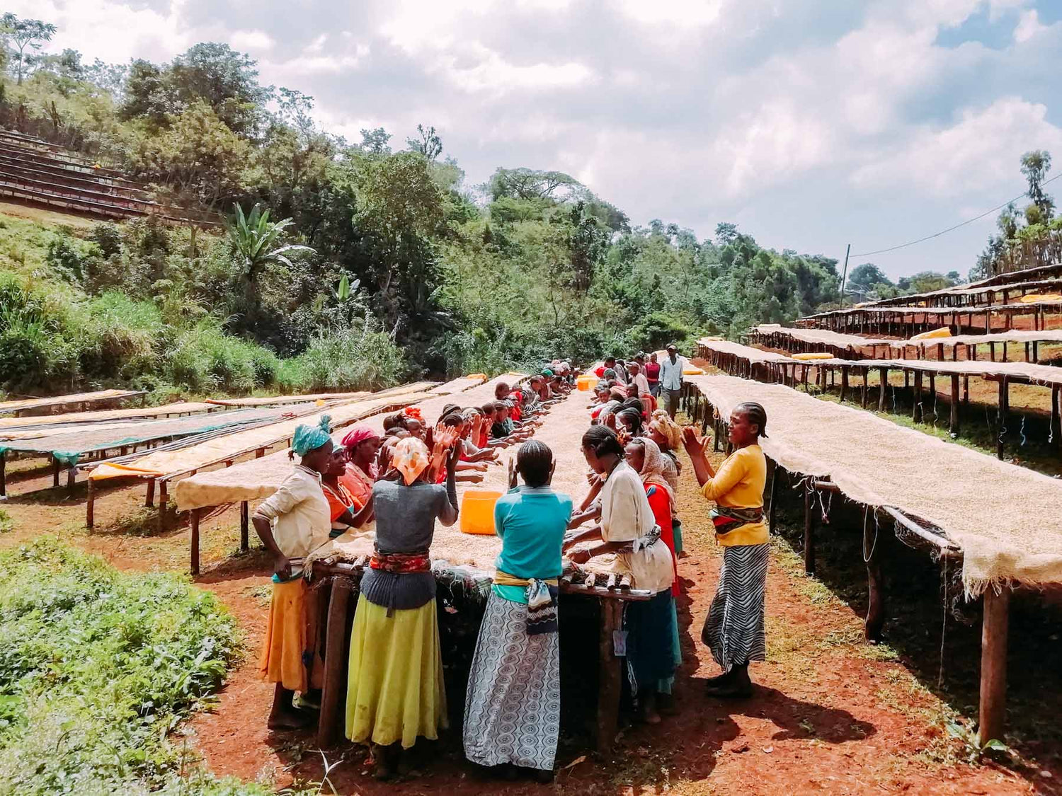 Ethiopia Beloya Washing station