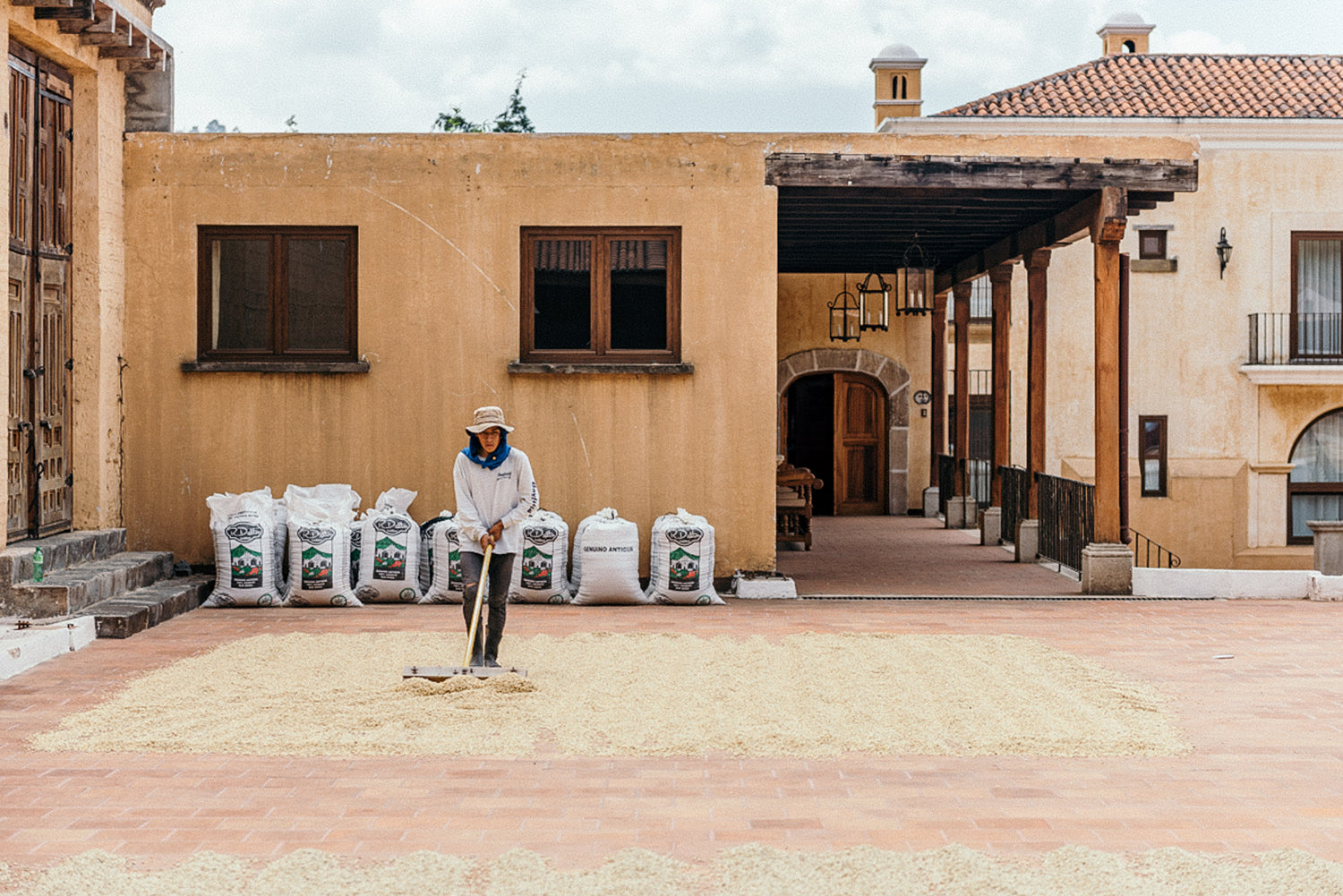 Guatemala Finca Filadelfia coffee drying