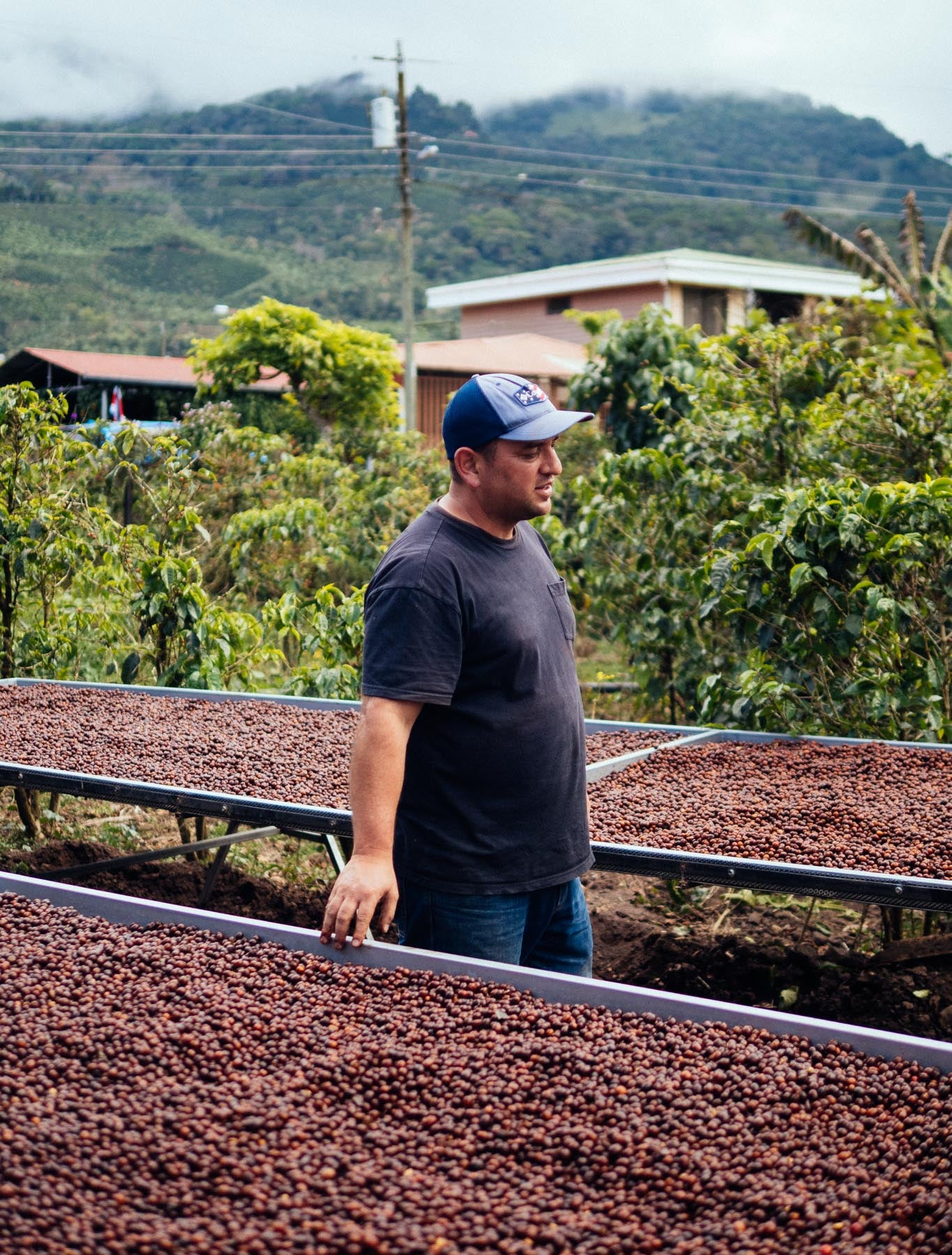 Man standing among drying coffee beans with a scenic background