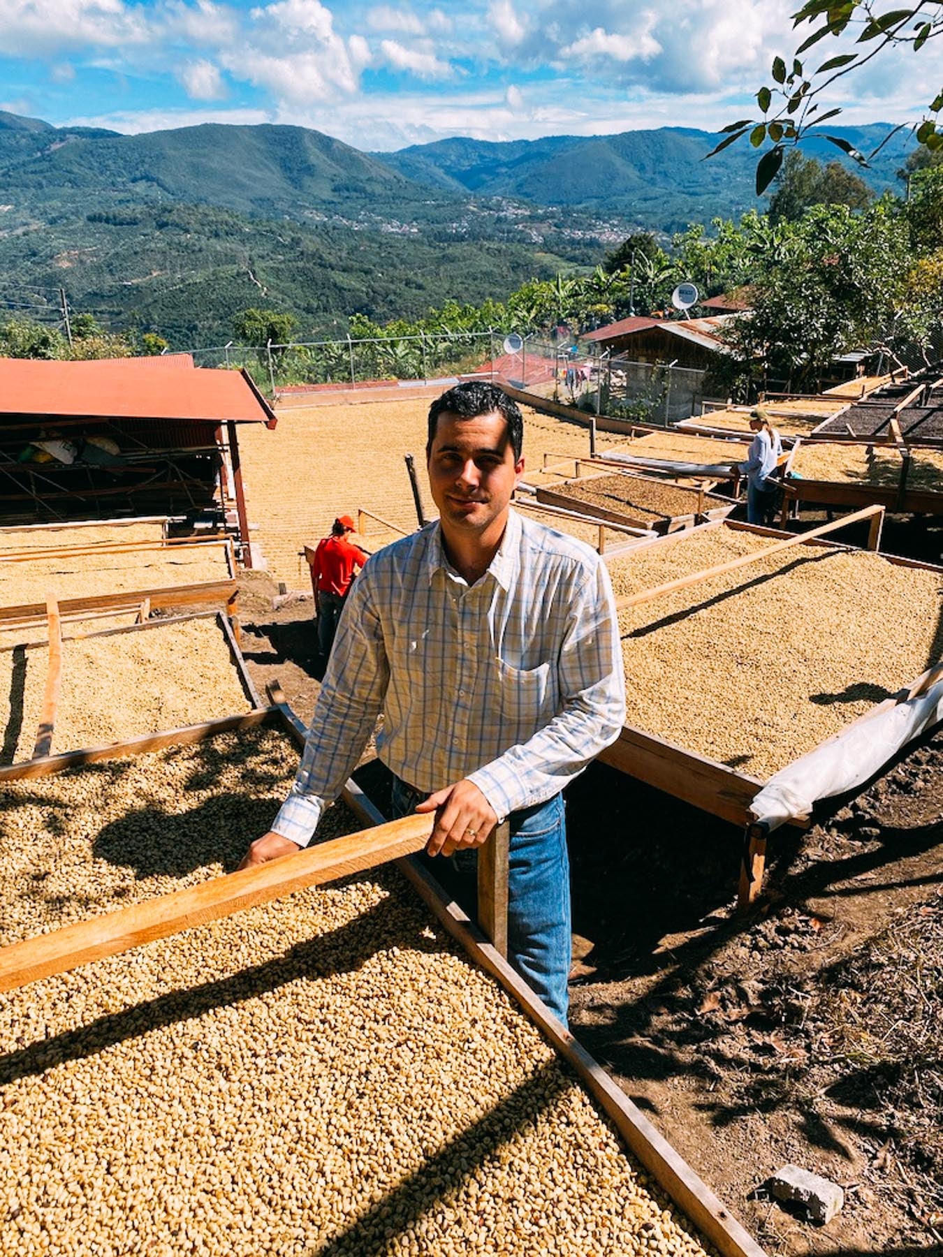 Man working with coffee beans on drying racks with mountains in the background