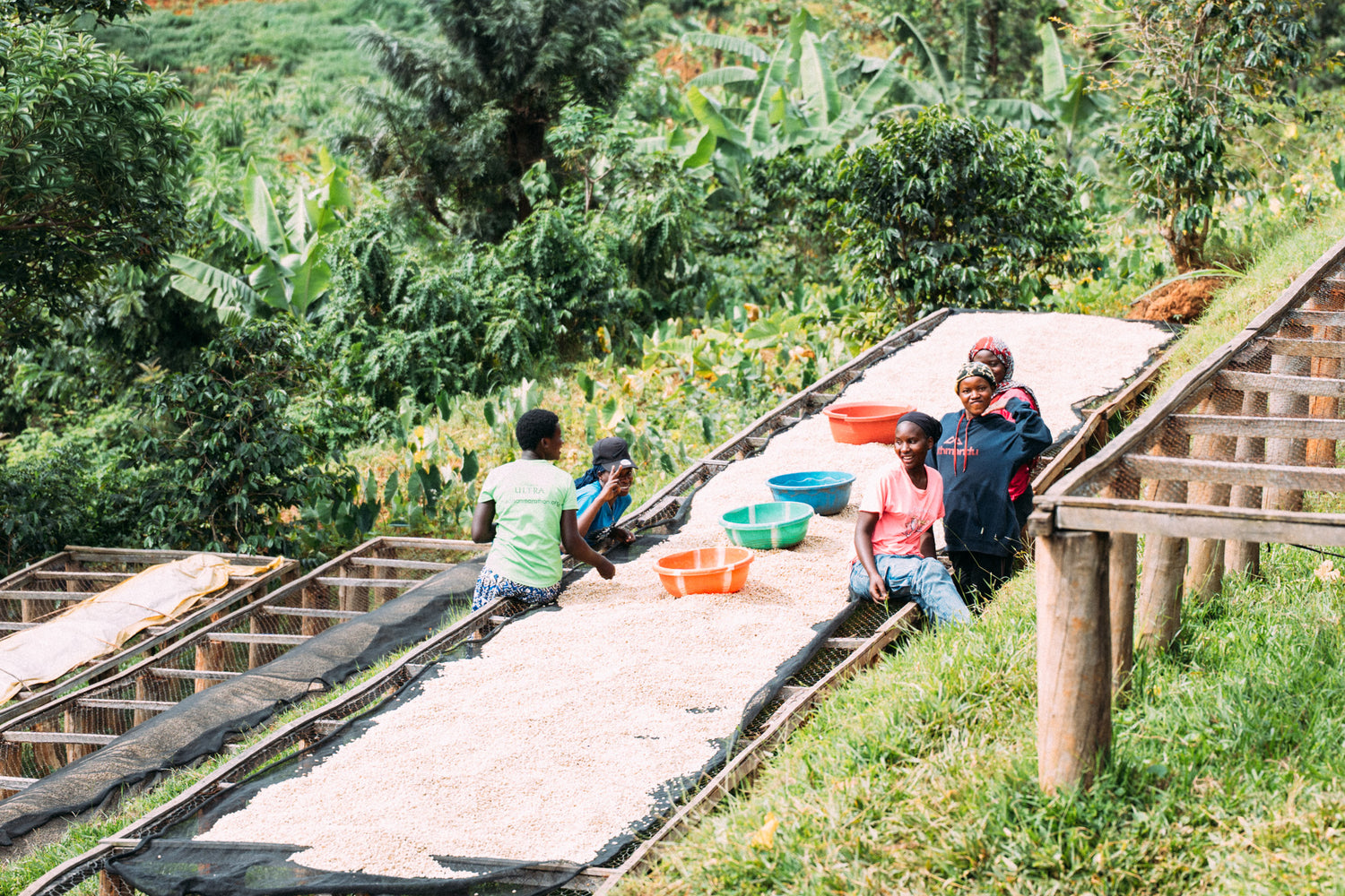 Rwanda Bwishaza coffee washing station