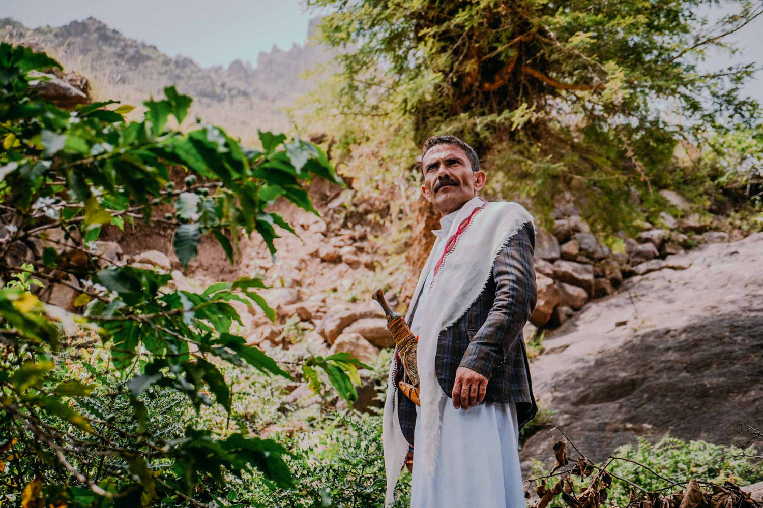 Man in traditional Yemen attire standing in a natural setting with coffee trees and rocks.