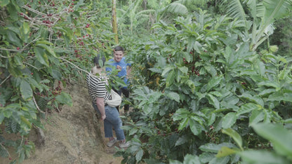 La Karola Natural - Christmas Single Origin