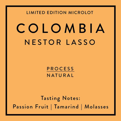 Colombia - Nestor Lasso Natural