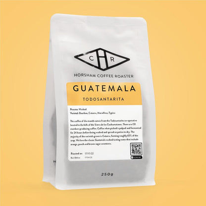 Guatemala - Todosantarita Washed