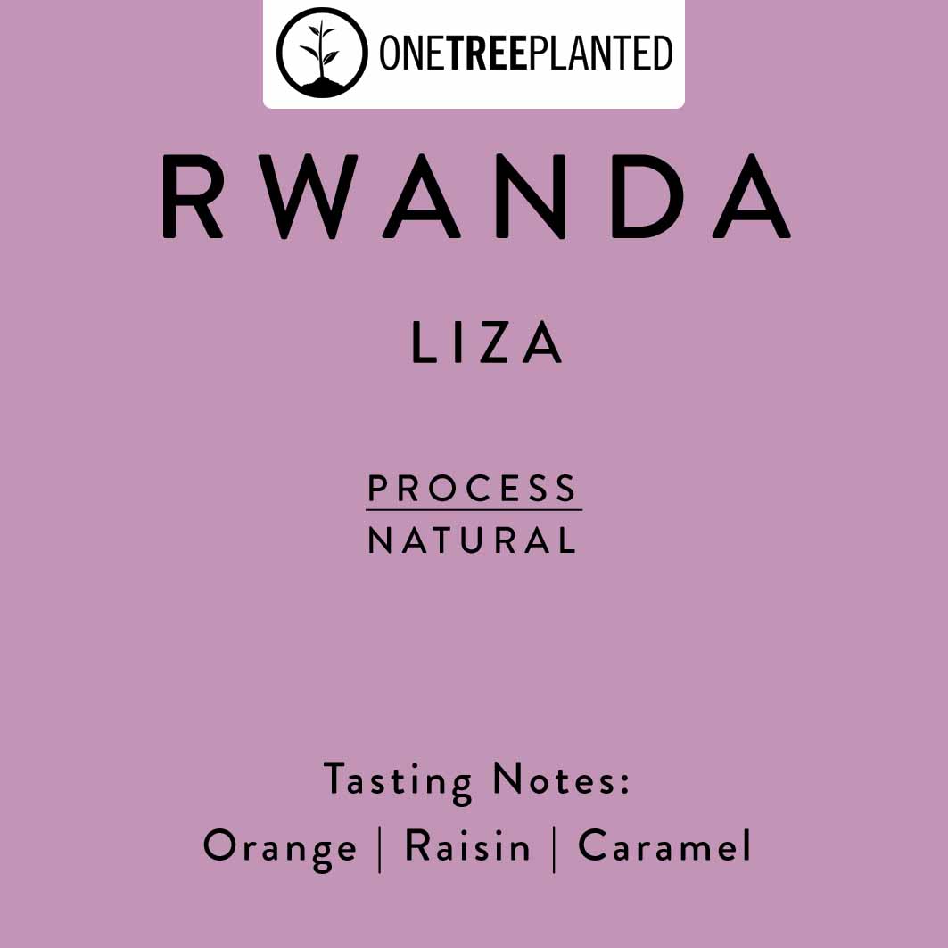 Photo of Rwanda - Liza thin natural